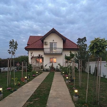 Отель Blue Sky House Балотешти Экстерьер фото